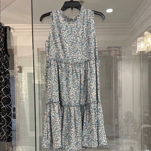 Floral Sleeveless Dress in Blue